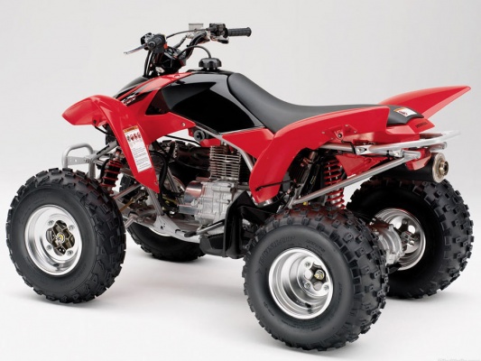 Фото квадроцикла Honda TRX250X